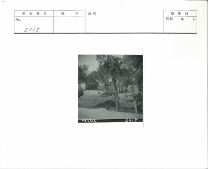 湖畔砖房行人树影.jpg