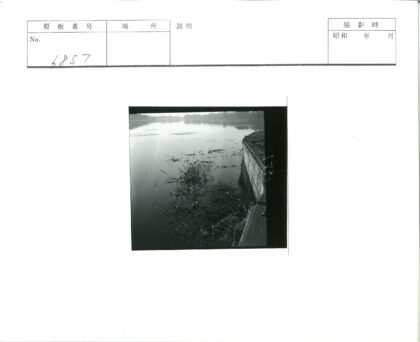 湖畔芦苇与石墙景色.jpg
