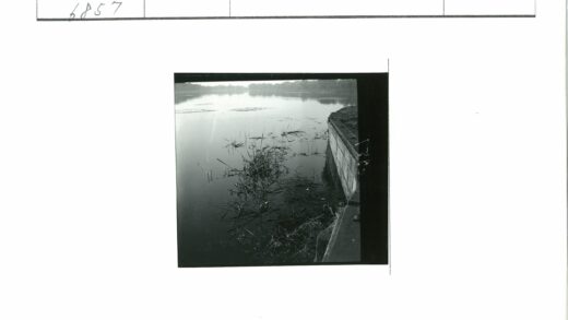 湖畔芦苇与石墙景色.jpg