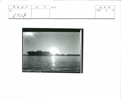 湖畔落日树影剪映.jpg