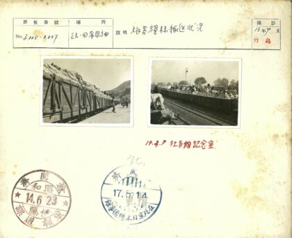 满载火车停靠铁轨灯柱树木背景.jpg