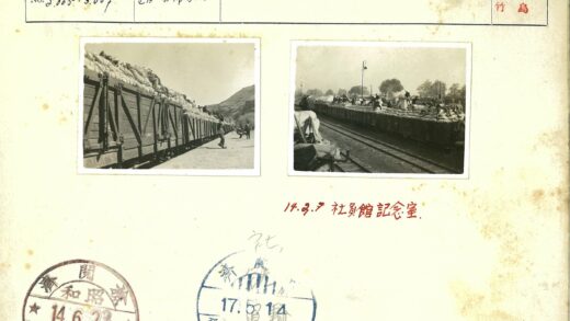 满载火车停靠铁轨灯柱树木背景.jpg