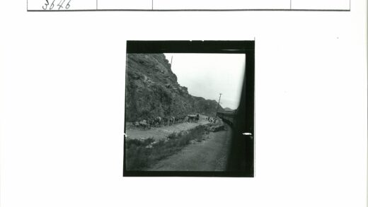 火车与马车并行山坡铁路.jpg