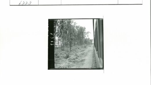 火车窗外森林景观.jpg