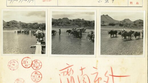 牧人牵牛过河山丘景色.jpg