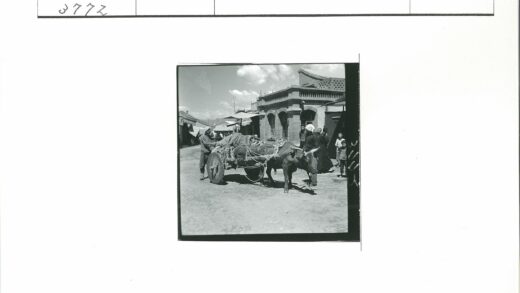 牵牛拉货的街景.jpg