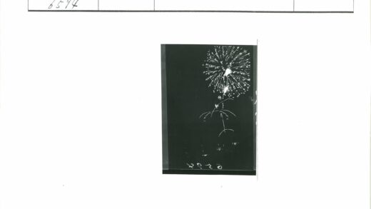 璀璨烟花夜空光轨.jpg