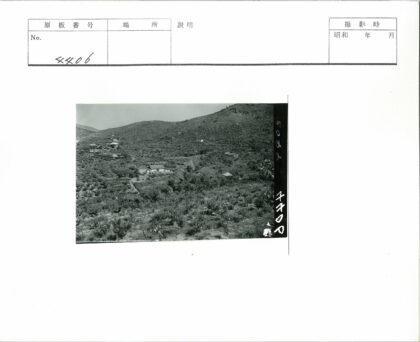 田园梯田与山坡农舍.jpg