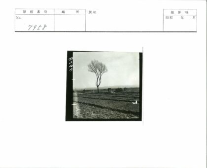 田野孤树与农人远景.jpg