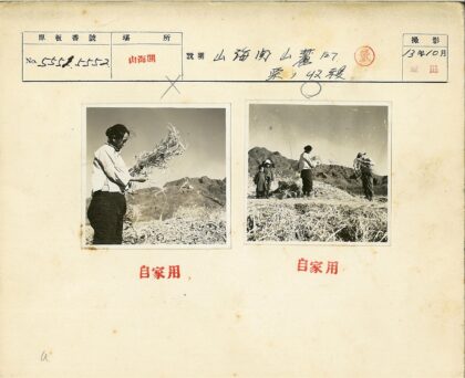 田野干草收集山脉背景.jpg
