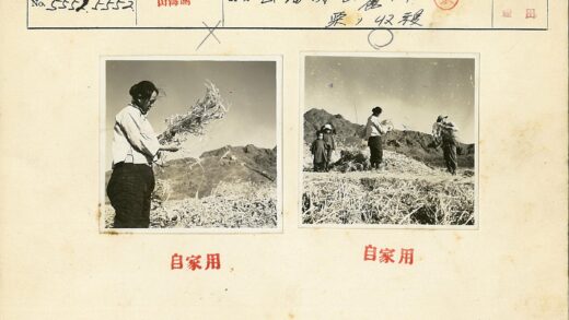 田野干草收集山脉背景.jpg