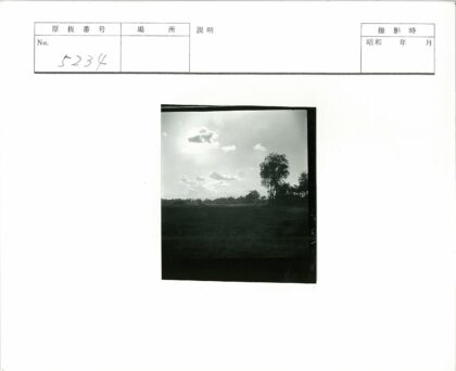 田野阳光云影自然风景.jpg