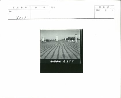 田间劳作与高柱背景.jpg
