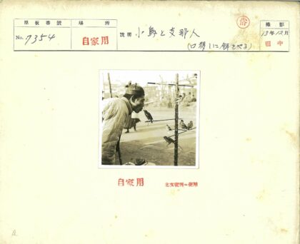 男子照料室外展台鸟群.jpg