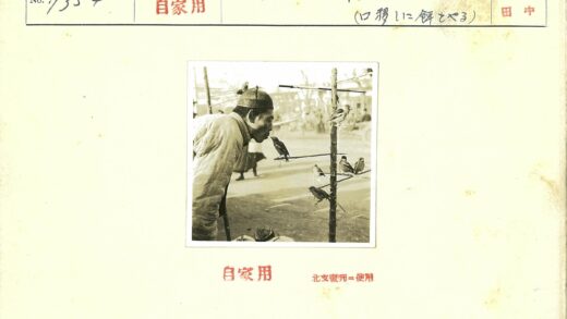 男子照料室外展台鸟群.jpg