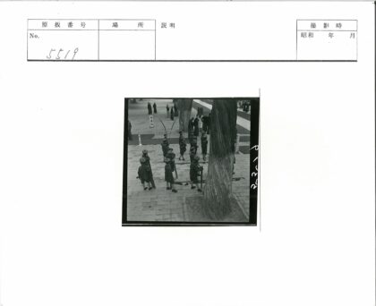 男孩们在林间小路练习射箭.jpg