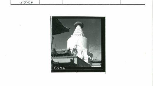 白色佛塔云雾枯树景观.jpg