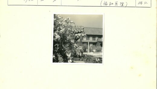 白花自行车与瓦顶建筑.jpg