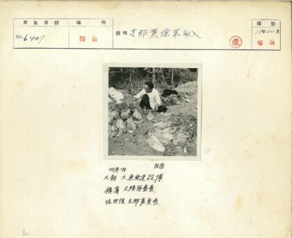 白衬衫男子坐落叶丛中.jpg
