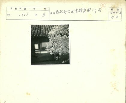 盛开花树与传统瓦顶建筑.jpg