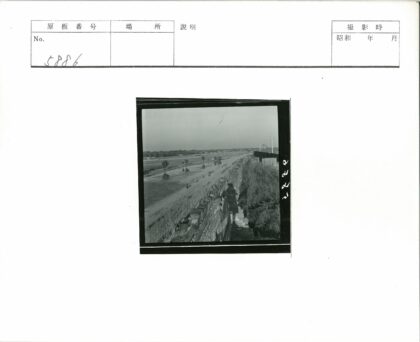 石墙俯瞰河岸散步与远林建筑.jpg