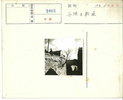 石墙古树与城市背影.jpg
