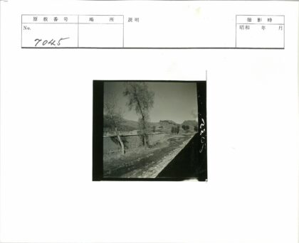 石墙树木与远山晴空景色.jpg