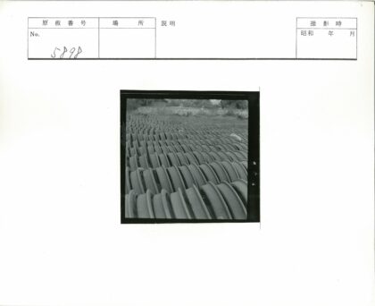 石墙边堆叠的圆形物体特写.jpg