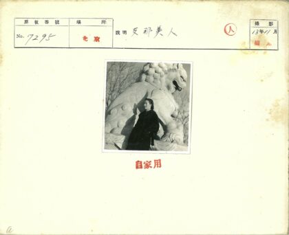 石狮雕像与枯树背景.jpg