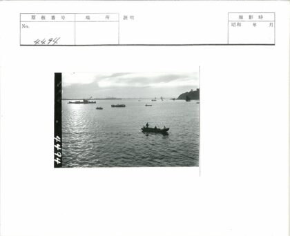 码头船只与山坡风景.jpg