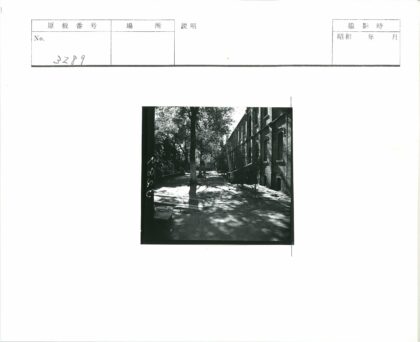 砖房旁树影斑驳的小路.jpg
