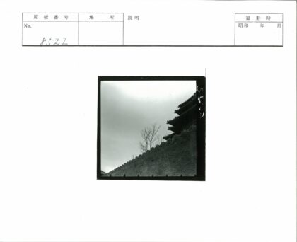 秃树倚老墙建筑.jpg