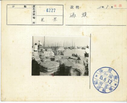 繁忙港口装卸工作场景.jpg
