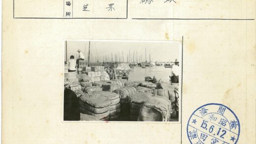 繁忙港口装卸工作场景.jpg