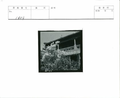 繁花掩映下的传统两层建筑.jpg