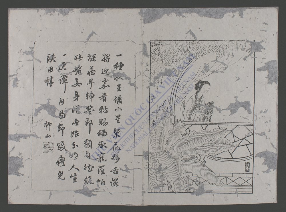 红楼梦-