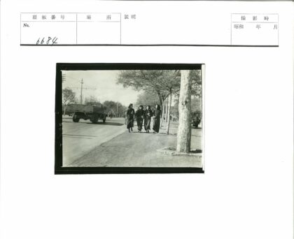 绿树成荫人行道与卡车.jpg