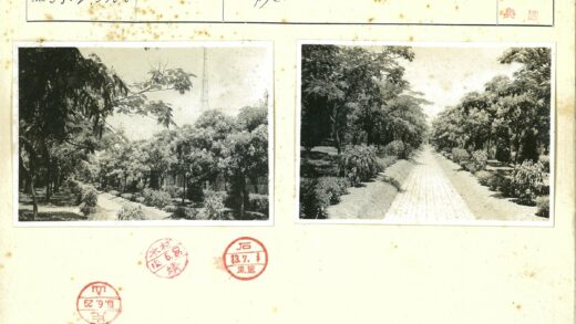 绿荫小路自然景观.jpg