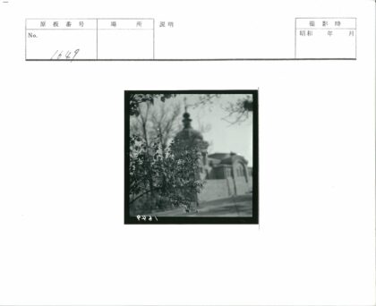 绿荫掩映圆顶建筑.jpg