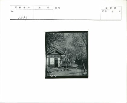 绿荫环绕的复古小屋.jpg