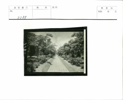 绿荫砖路延伸远方.jpg