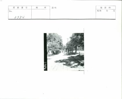 绿荫街道黄包车与电线杆.jpg