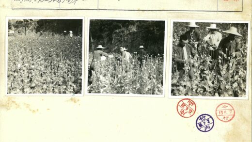 罂粟地里的宽边帽工人.jpg