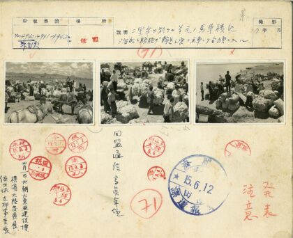 羊毛集市木车骆驼人群.jpg