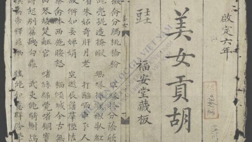 美女贡胡 1.jpg