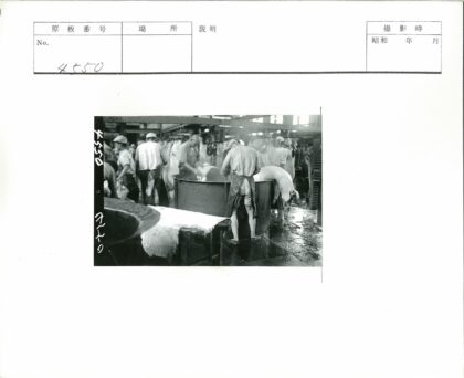 肉类加工厂工人处理动物尸体.jpg