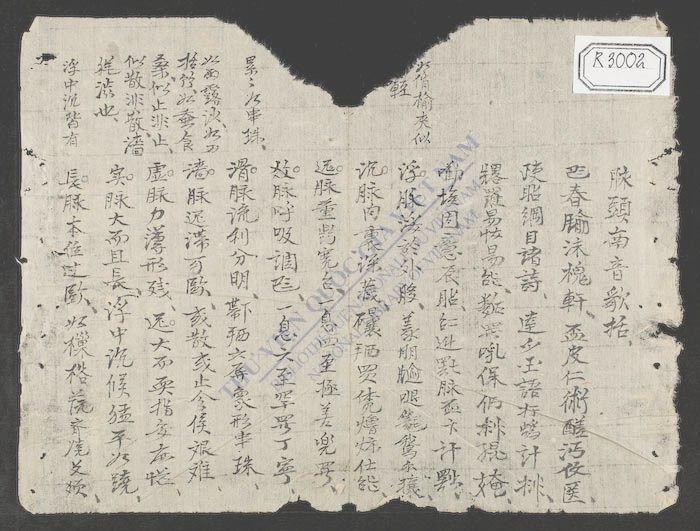 脉头南音歌括-