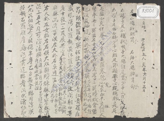 脉头南音歌括-