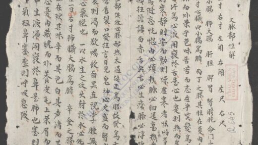 脉部位觧 1.jpg