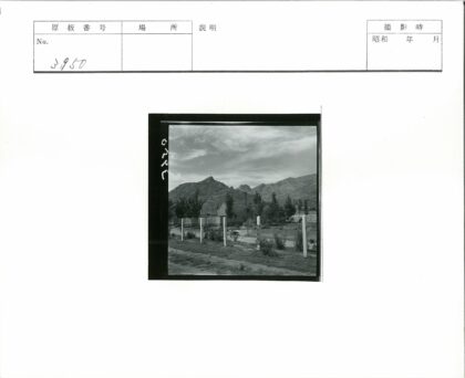 自行车骑行绿荫小路山景房.jpg